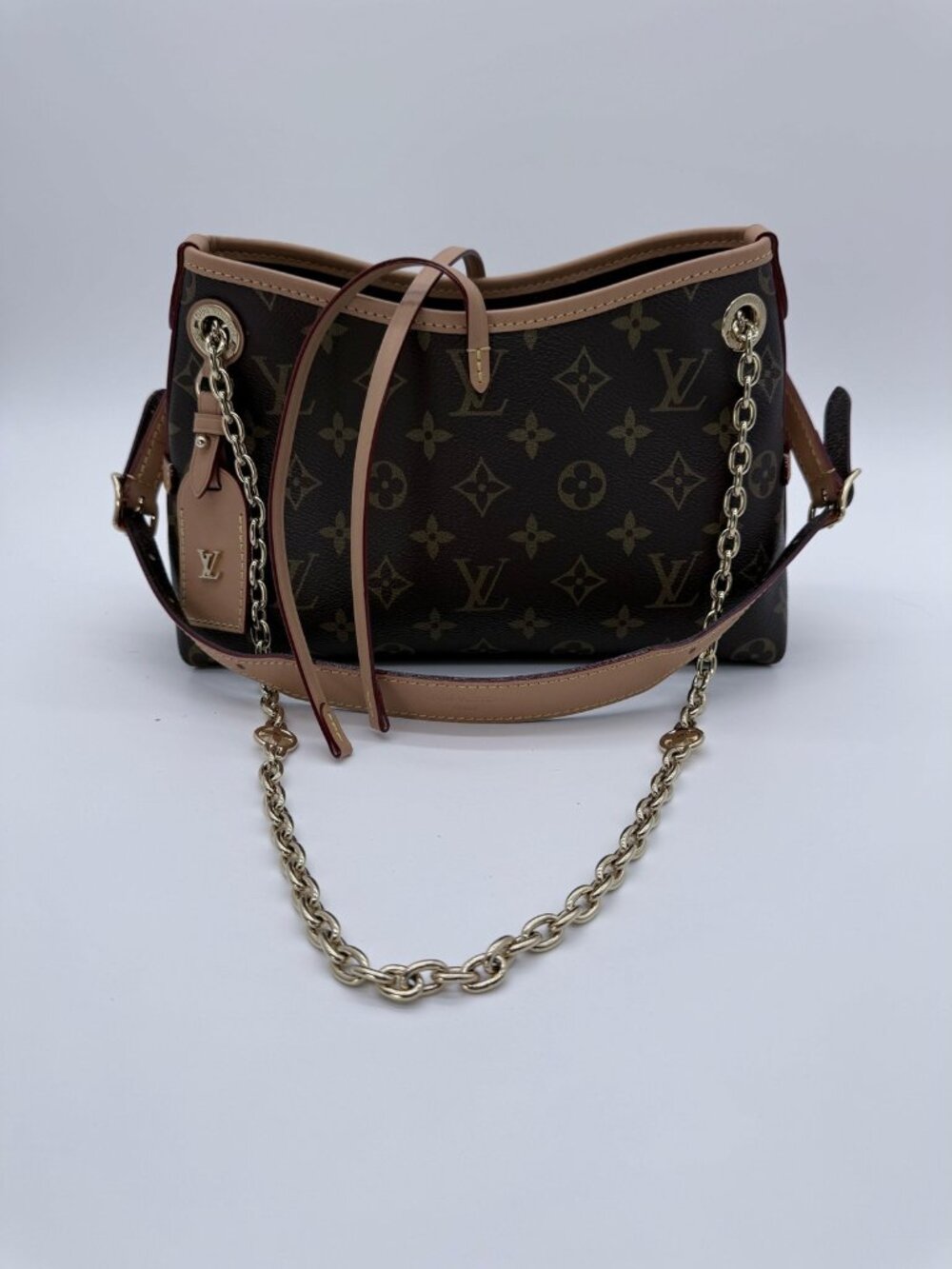 LOUIS VUITTON CarryAll PM Monogram